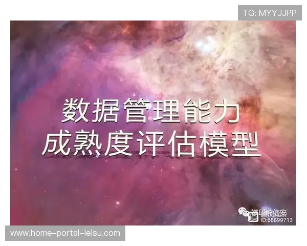 数据治理成熟度模型发布，指导机构自我评估